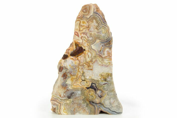 Free-Standing, Polished Crazy Lace Agate Section - Mexico #314726